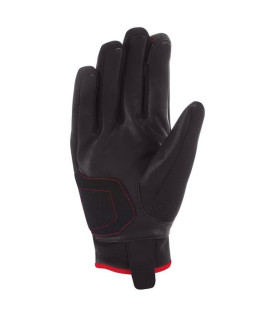 Gants Borneo Evo - Bering